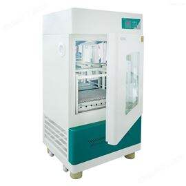FSI-175立式恒温振荡器
